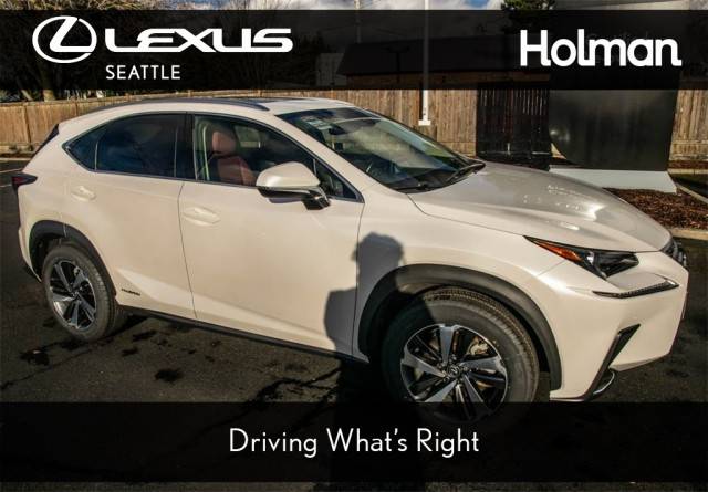 2021 Lexus NX NX 300h AWD photo