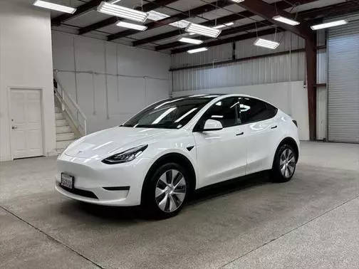 2023 Tesla Model Y  AWD photo