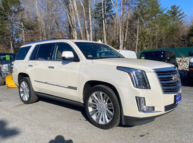 2015 Cadillac Escalade Platinum 4WD photo