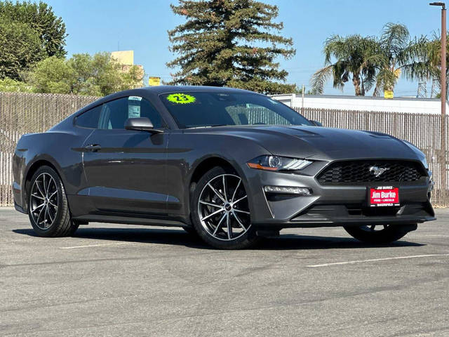 2023 Ford Mustang EcoBoost RWD photo