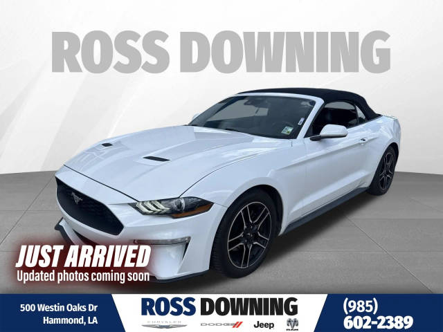 2022 Ford Mustang EcoBoost Premium RWD photo