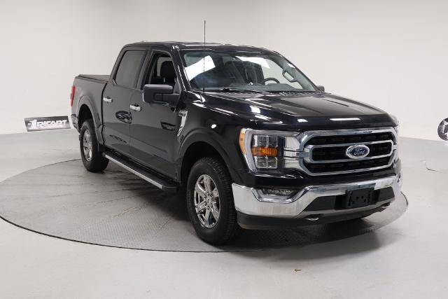 2021 Ford F-150 XLT 4WD photo