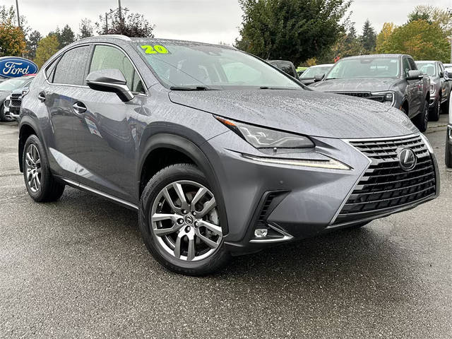 2020 Lexus NX NX 300 Luxury AWD photo