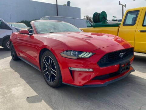 2019 Ford Mustang EcoBoost RWD photo