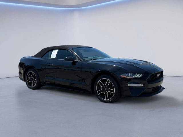 2020 Ford Mustang EcoBoost Premium RWD photo