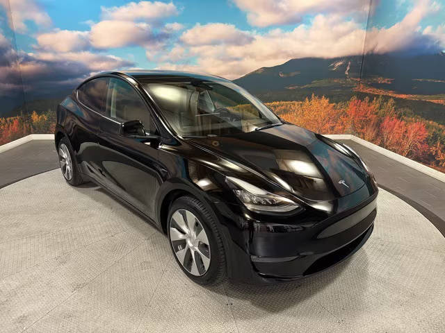 2021 Tesla Model Y Long Range AWD photo