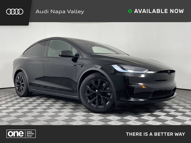 2023 Tesla Model X Standard Range AWD photo