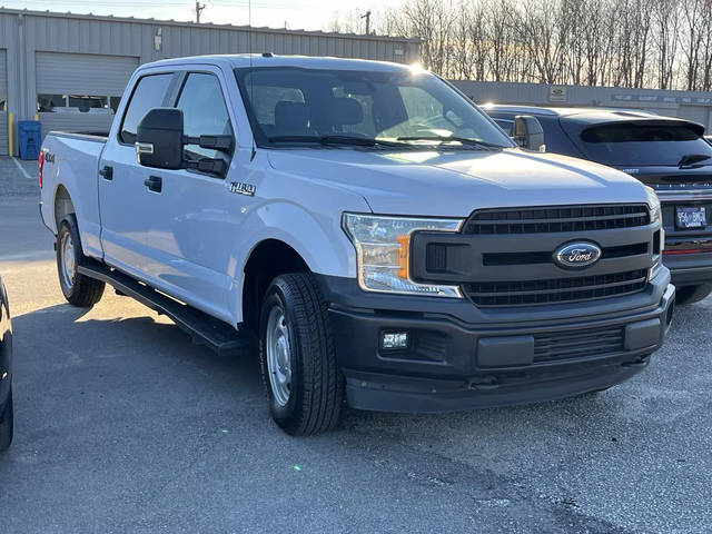 2019 Ford F-150 XL 4WD photo