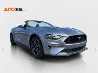 2023 Ford Mustang EcoBoost RWD photo