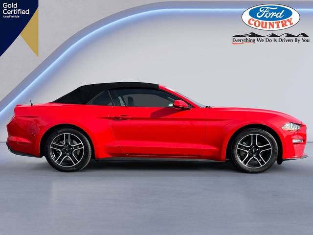 2022 Ford Mustang EcoBoost Premium RWD photo