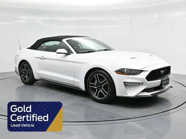 2020 Ford Mustang EcoBoost Premium RWD photo