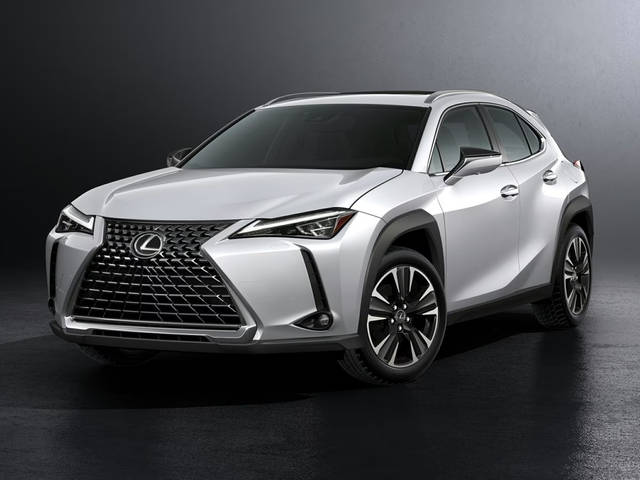 2021 Lexus UX UX 250h AWD photo