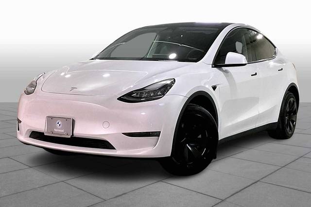 2023 Tesla Model Y  AWD photo