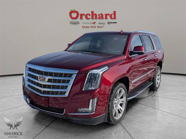 2019 Cadillac Escalade Luxury 4WD photo