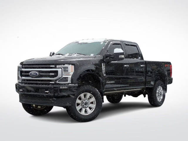 2020 Ford  Platinum 4WD photo