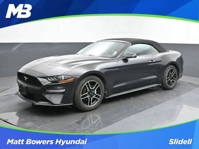 2022 Ford Mustang  RWD photo