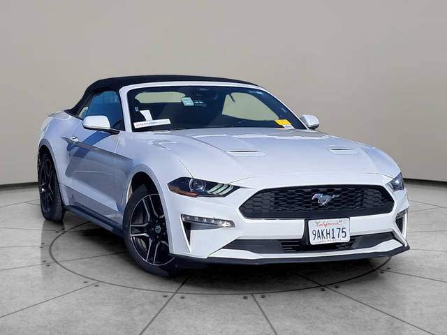 2022 Ford Mustang EcoBoost RWD photo