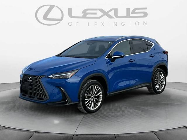 2023 Lexus NX NX 350h Premium AWD photo