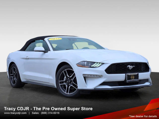 2022 Ford Mustang  RWD photo