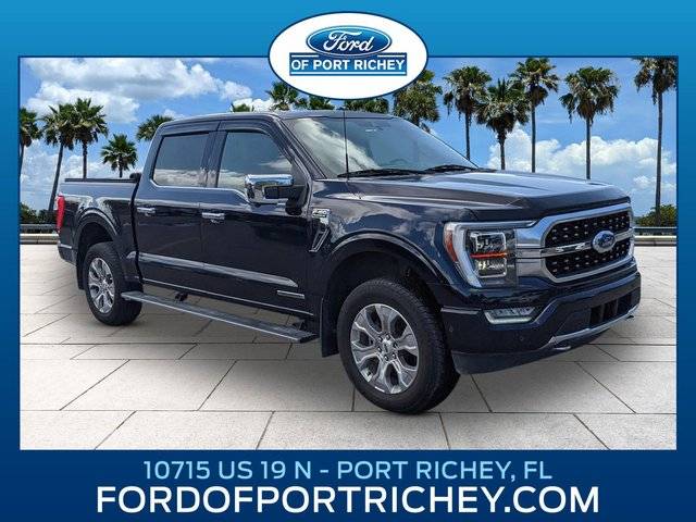2021 Ford F-150 Platinum 4WD photo