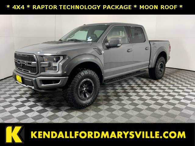 2018 Ford F-150 Raptor 4WD photo