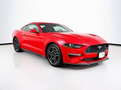 2023 Ford Mustang EcoBoost Premium RWD photo