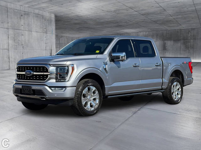 2022 Ford F-150 Platinum 4WD photo