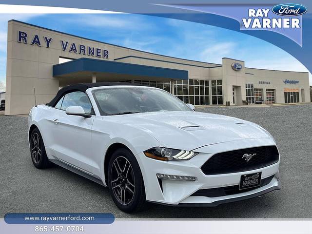 2023 Ford Mustang EcoBoost Premium RWD photo