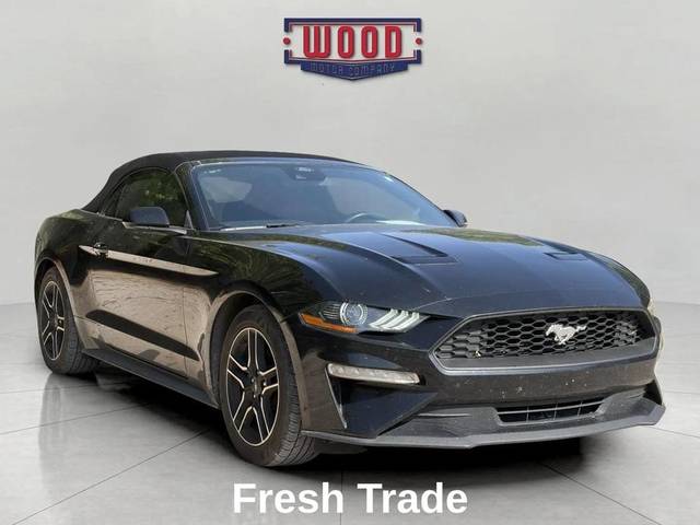 2022 Ford Mustang EcoBoost Premium RWD photo