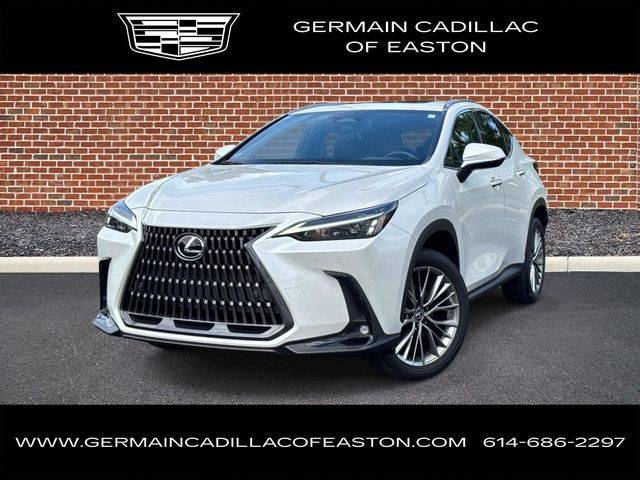 2022 Lexus NX NX 350 Premium AWD photo