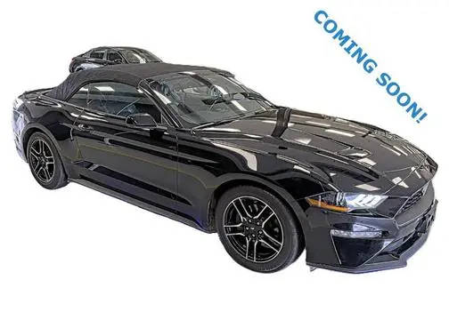 2022 Ford Mustang EcoBoost RWD photo