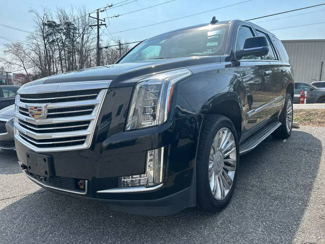 2015 Cadillac Escalade Platinum 4WD photo