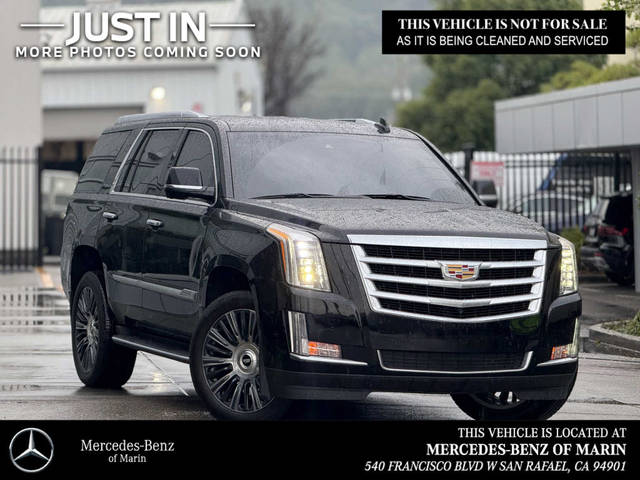 2020 Cadillac Escalade Luxury RWD photo