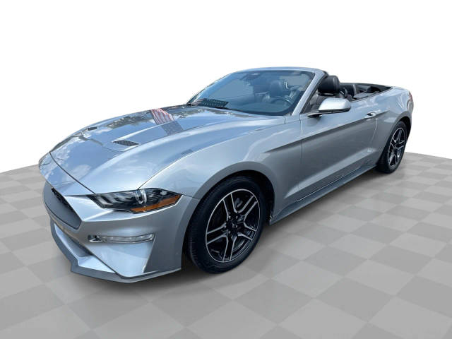 2023 Ford Mustang EcoBoost RWD photo