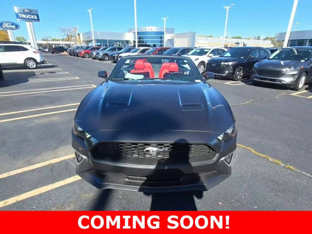 2019 Ford Mustang EcoBoost Premium RWD photo