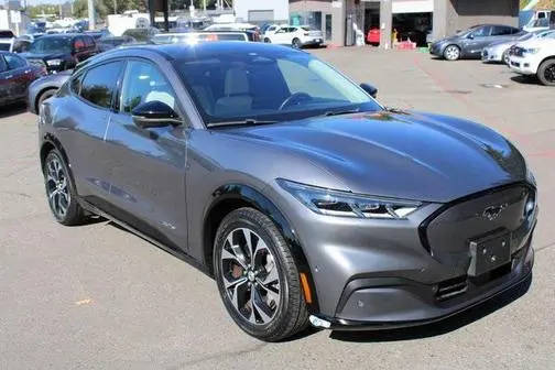 2021 Ford Mustang Mach-E Premium RWD photo