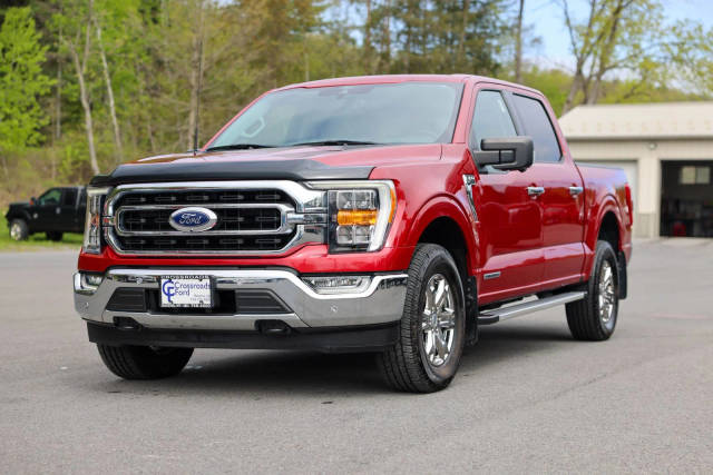 2022 Ford F-150 XLT 4WD photo