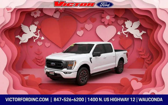 2022 Ford F-150 XLT 4WD photo