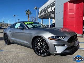 2023 Ford Mustang EcoBoost Premium RWD photo