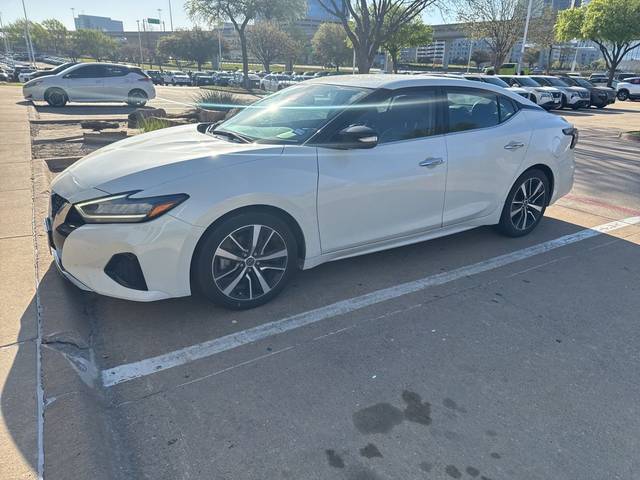2023 Nissan Maxima SV FWD photo