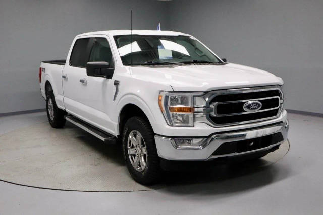2023 Ford F-150 XLT 4WD photo