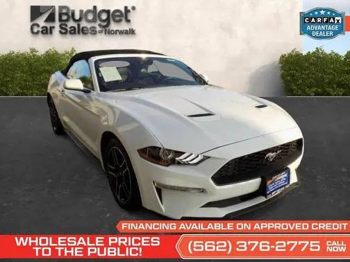 2023 Ford Mustang EcoBoost Premium RWD photo