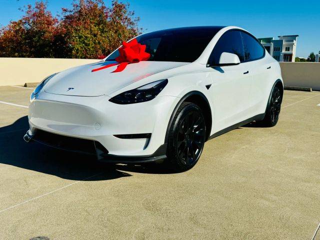 2023 Tesla Model Y  AWD photo