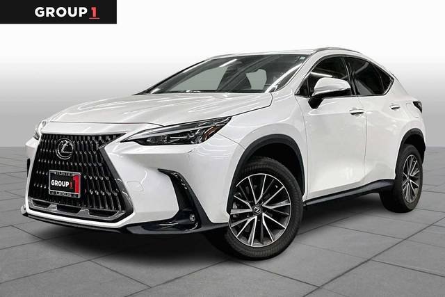 2022 Lexus NX NX 250 AWD photo