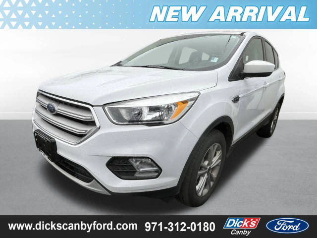 2019 Ford Escape SE 4WD photo