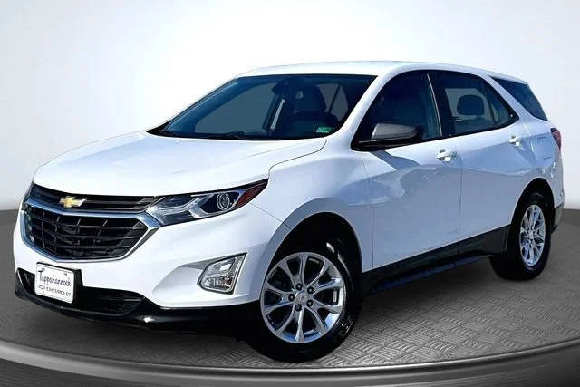 2021 Chevrolet Equinox LS FWD photo