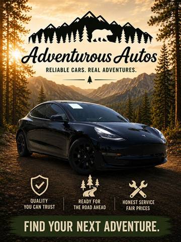 2021 Tesla Model 3 Long Range AWD photo