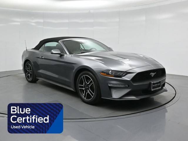 2023 Ford Mustang EcoBoost Premium RWD photo