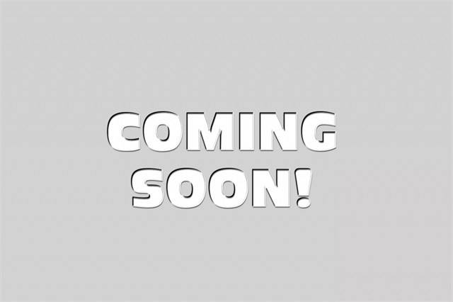 2021 Tesla Model Y Performance AWD photo