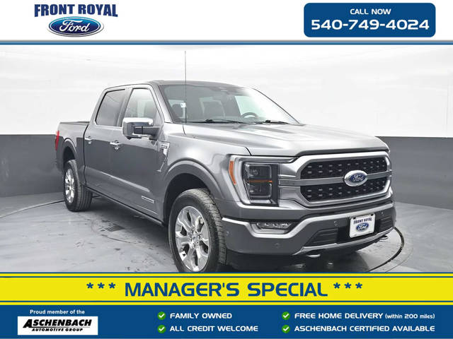 2022 Ford F-150 Platinum 4WD photo